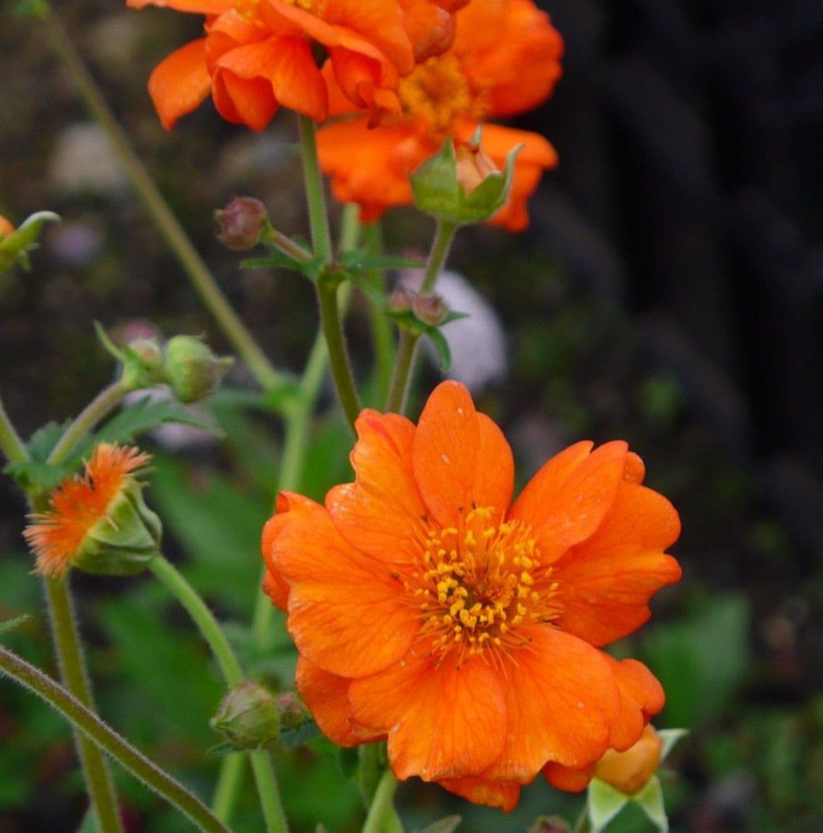 June blog image