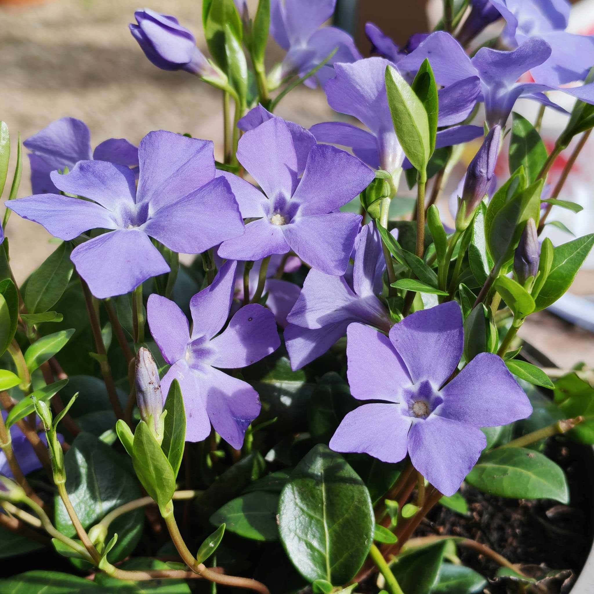 April blog image