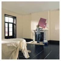 Dulux PaintPod Roller System