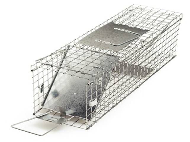 Trap Cooper Rabbit Proctor Brothers Rabbit Trap