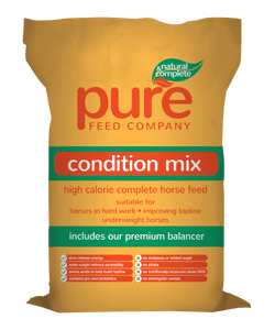 Pure Condition