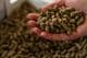 Pure Condition Pellets