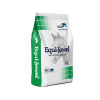 Saracen Equi Jewel Balancer 20kg