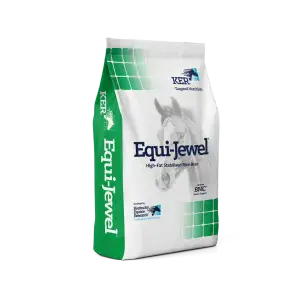Saracen Equi Jewel Balancer 20kg