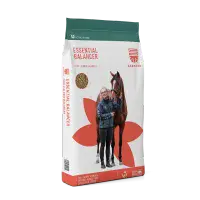 Saracen Essential Balancer 20kg