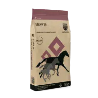 Saracen Stamm 30 Balancer 20kg