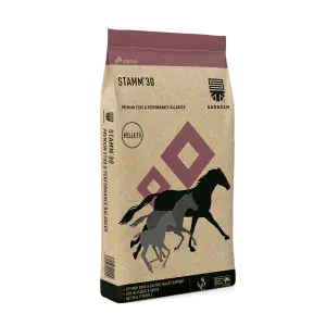 Saracen Stamm 30 Balancer 20kg