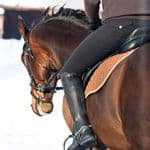 Tack & Bits