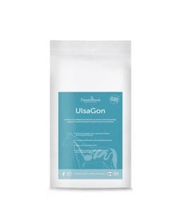 Thunderbrook UlsaGon