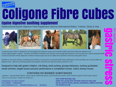 Coligone Fibre Cubes