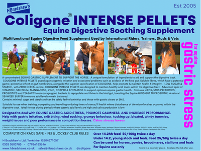 Coligone INTENSE PELLETS