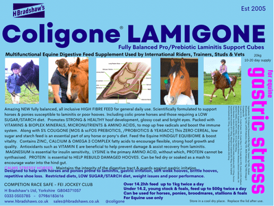 Coligone LAMIGONE