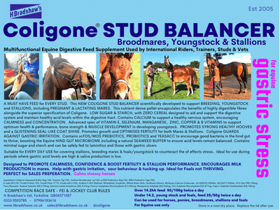 Coligone Stud Balancer