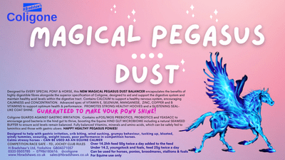 MAGICAL PEGASUS DUST
