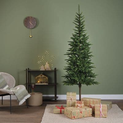 2.1m Alpbach Fir