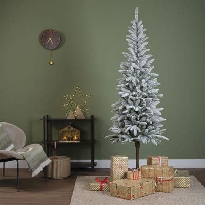 2.1m Snowy Alpbach Fir