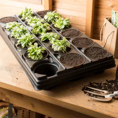 Gro Sure Growing Tray with 18 Round Pots