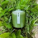 20cl Candle Green Botannical Range - Herb