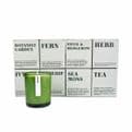 20cl Candle Green Botannical Range - Herb