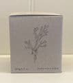 20cl Candle Green Botannical Range - Sea Moss