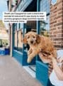 Doggy Styling