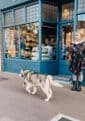Doggy Styling