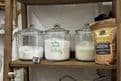 Ecocentric Us