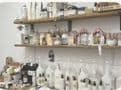 Ecocentric Us