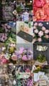 The Claygate Flower House