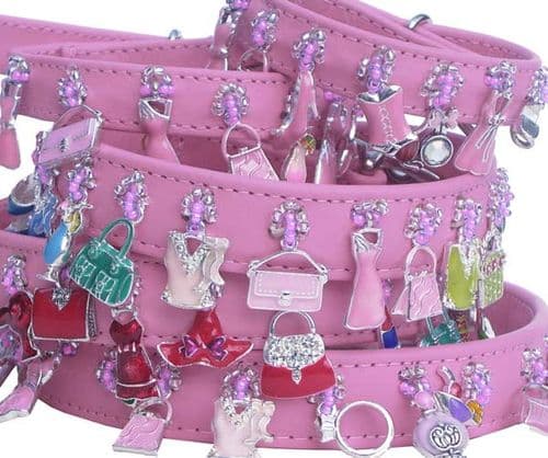 "Girls just want to have fun". Charm dog collar