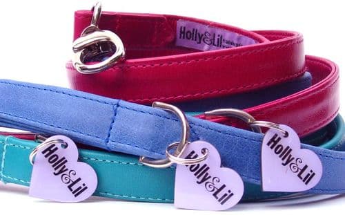 A "Plain & Simple" Leather Lead
