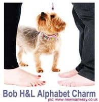 Alphabet charm dog collars - Holly & Lil Collars Handmade in Britain, Leather dog collars, leads & Dog harnesses.