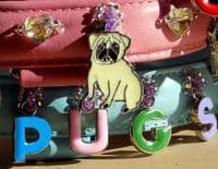 Breed Specific Charm dog collars - Holly & Lil Collars Handmade in Britain, Leather dog collars, leads & Dog harnesses. Frenchie Pug Schnauzer Boston