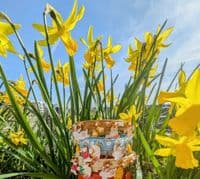Easter Parade dog collars - Holly & Lil Collars Handmade in Britain, Leather dog collars, leads & Dog harnesses.