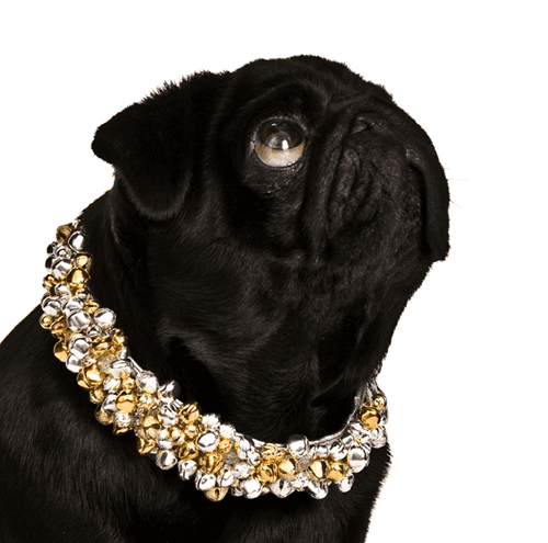 Fire&Ice. Silver & Gold Bell dog collar with Fire Crystals