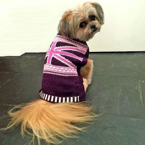 Holly&Lil exclusive designAlpaca handknitted Dog JumpersXXS to BULLDOG Gal