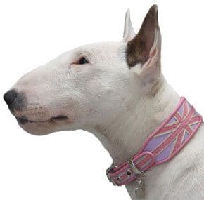 Holly&Lil "Union Jack/Pack" Dog Collars. Limited Stock!