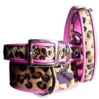 Leopard Rose coswskin  Dog Collars - Holly & Lil Collars Handmade in Britain, Leather dog collars, leads & Dog harnesses.