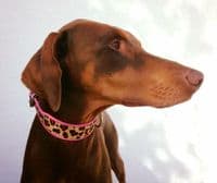 Leopard Rose coswskin  Dog Collars - Holly & Lil Collars Handmade in Britain, Leather dog collars, leads & Dog harnesses.