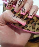 Leopard Rose coswskin  Dog Collars - Holly & Lil Collars Handmade in Britain, Leather dog collars, leads & Dog harnesses.