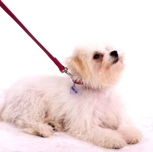 Perfect for Teenies & Wees. "Plain & Simple" Calf leather dog collars