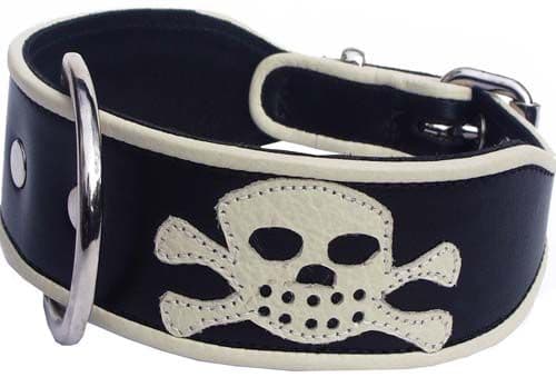 Pirate Dog Collar as seen in "Tamara Drewe"
