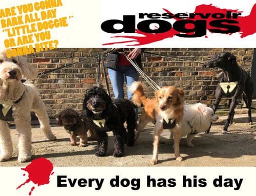 Reservoir Dogs Harness