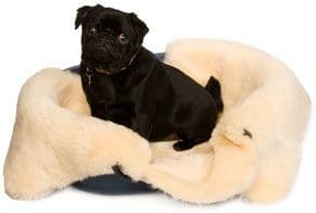 Shearling Sheepskin Medi Rugs