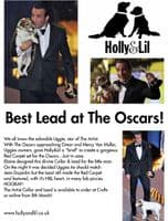 The Artist. A Red Carpet dog collar & the lead as worn by Uggie at the Oscars 2012. Exclusive to H&L - Holly & Lil Collars Handmade in Britain, Leather dog collars, leads & Dog harnesses.
