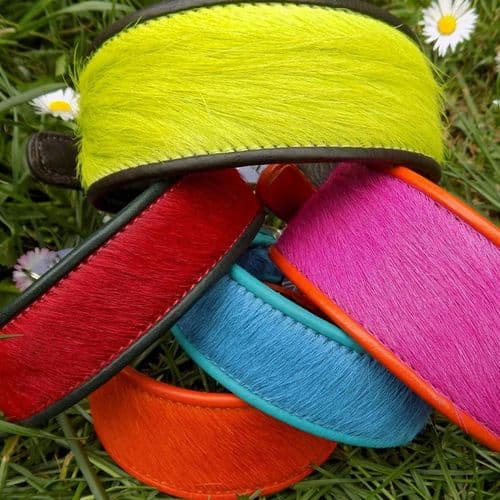 The BrightSide WIDE collection for Hounds