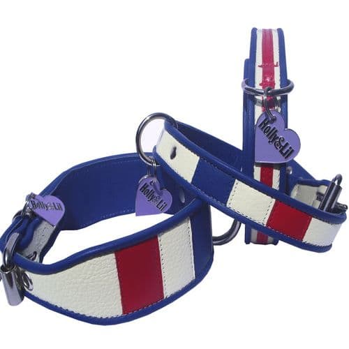 The Flag of France. Drapeau Tricolore