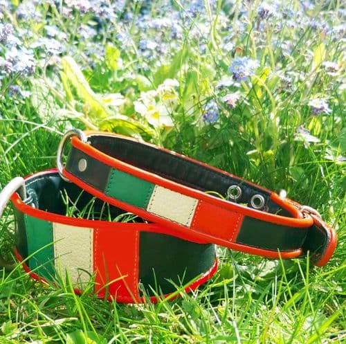 The Flag of the Republic of Ireland. The Irish Tricolour