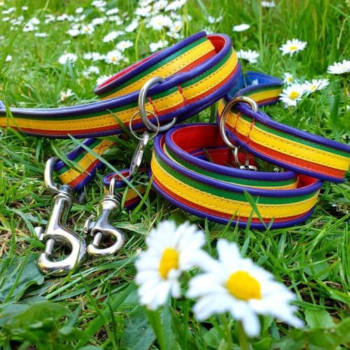 The Rainbow Lead