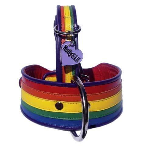 The Rainbow Perfect for your "Toto" (as seen on the BBC)